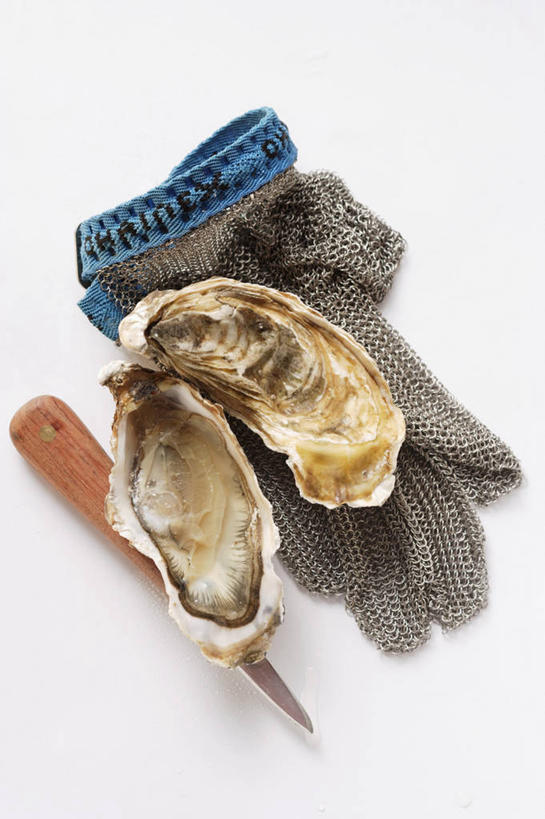 海鲜,无人,竖图,俯视,室内,特写,白天,白色背景,安全,餐桌,桌子,阴影,反射,工具,影子,刀具,防护,牡蛎,水产,海洋生物,一个,手套,刀,剥开,摄影,影棚,单个,餐台,保护,生蚝,水生动物,海产品,保险,水生物,海底动物,牡蛎刀,保全,周全,安稳,安定,防护手套,平安,彩图,高角度拍摄,影棚拍摄,拍摄