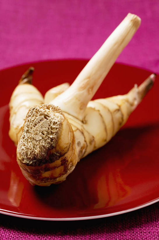 无人,竖图,俯视,室内,特写,白天,植物,餐桌,桌子,餐具,阴影,紫色背景,朦胧,模糊,反射,碟子,盘,影子,草药,药草,中药,一个,红色,盘子,碟,摄影,影棚,单个,餐台,药材,中草药,高良姜,中药材,本草,风姜,枫姜,高凉姜,良姜,蛮姜,小良姜,彩图,高角度拍摄,影棚拍摄,拍摄