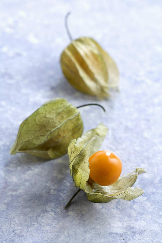 无人,竖图,俯视,室内,特写,白天,餐桌,桌子,浆果,水果,阴影,朦胧,模糊,新鲜,反射,影子,灯笼果,生食,食品,果实,食物,三个,有机食品,绿色食品,餐台,秘鲁苦蘵,小果酸浆,醋栗,彩图,高角度拍摄