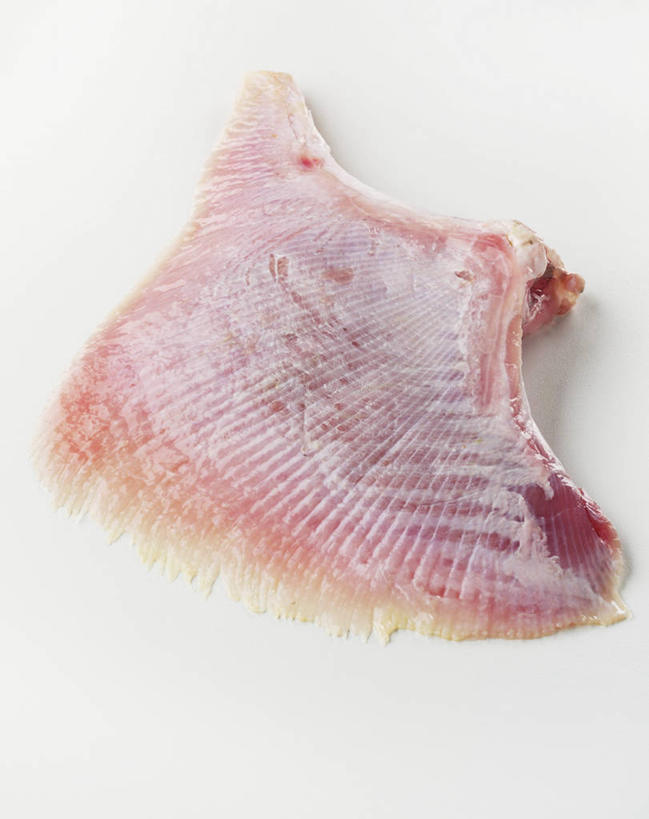 海鲜,无人,竖图,俯视,室内,特写,白天,白色背景,桌面,桌子,一块,阴影,反射,纹路,木制,鱼,纹理,影子,肉,鱼肉,水产,肉类,鱼类,海洋生物,木制品,摄影,影棚,鳐鱼,水生动物,海产品,水生物,肉食,海底动物,魟鱼,魔鬼鱼,蝠鲼,肌理,彩图,高角度拍摄,影棚拍摄,拍摄