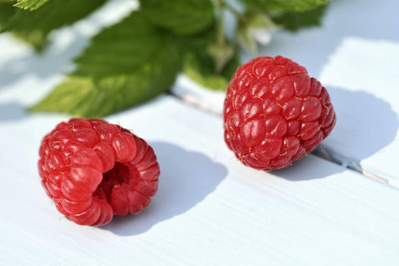 无人,横图,俯视,室内,特写,白天,餐桌,桌子,浆果,水果,叶子,阴影,新鲜,反射,影子,桑葚,生食,食品,果实,绿叶,食物,两个,红色,覆盆子,嫩叶,摄影,有机食品,绿色食品,影棚,餐台,叶,叶片,彩图,高角度拍摄,影棚拍摄,拍摄