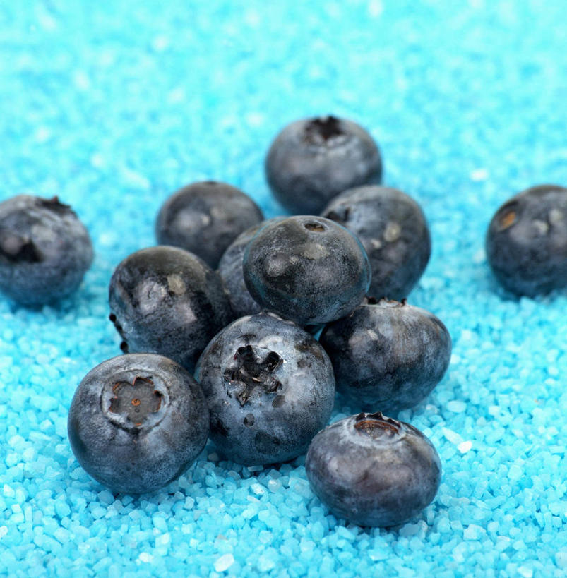无人,竖图,俯视,室内,特写,白天,餐桌,桌子,浆果,蓝莓,水果,一堆,许多,阴影,堆叠,堆积,蓝色背景,朦胧,模糊,新鲜,反射,影子,生食,食品,果实,食物,蓝色,摄影,有机食品,绿色食品,影棚,餐台,堆,山都柿,蓝浆果,蓝靛果,彩图,高角度拍摄,影棚拍摄,拍摄