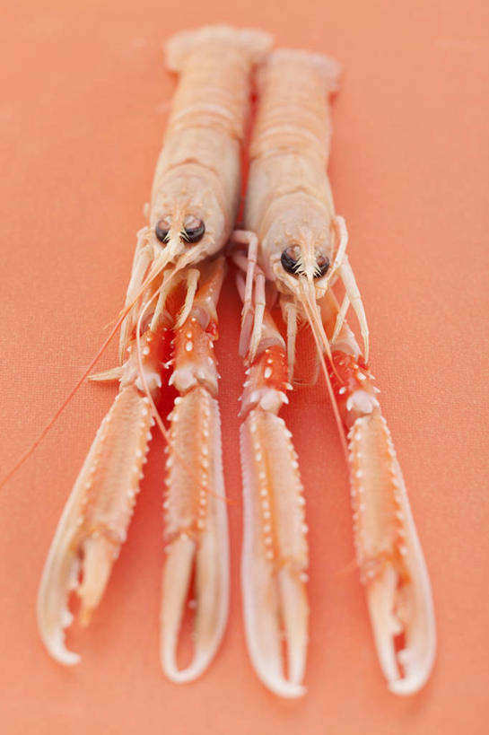 海鲜,龙虾,无人,竖图,俯视,室内,特写,白天,桌面,桌子,一排,阴影,整齐,反射,木制,影子,虾,水产,海洋生物,排列,红色,木制品,两只,摄影,影棚,队列,水生动物,海产品,水生物,海底动物,彩图,高角度拍摄,全身,影棚拍摄,拍摄
