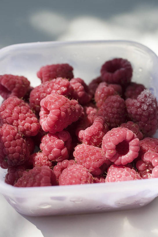 无人,竖图,俯视,室外,特写,白天,水果,一堆,许多,阴影,堆叠,堆积,朦胧,模糊,新鲜,光线,影子,塑料,生食,食品,果实,很多,食物,一个,红色,阳光,容器,塑料制品,碗,有机食品,绿色食品,单个,储藏,堆,储存,山莓,树莓,三月泡,四月泡,山抛子,刺葫芦,悬钩子,馒头菠,高脚菠,龙船泡,泡儿刺,彩图,高角度拍摄,贮存