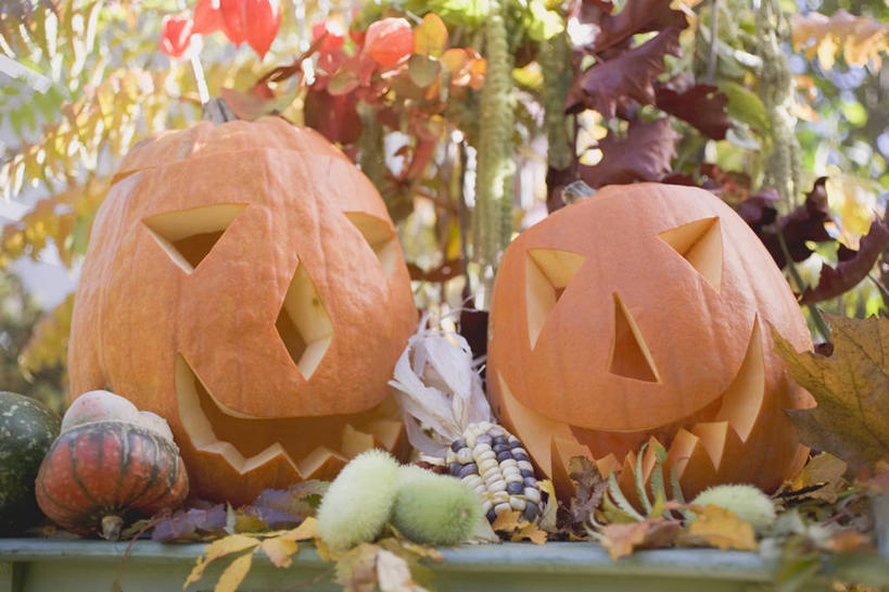 脸,头,脸颊,无人,横图,室外,白天,正面,秋季,餐桌,桌子,南瓜,蔬菜,叶子,照明,阴影,节日,朦胧,模糊,庆祝,新鲜,装饰,光线,影子,灯光,金瓜,食品,枯叶,落叶,文化,镂空,番瓜,灯,食物,两个,阳光,灯具,庆典,南瓜灯,万圣节,有机食品,绿色食品,餐台,纪念,华丽,修饰,麦瓜,倭瓜,照亮,点缀,照明设备,衬托,美观,雅致,雅观,镂刻,头部,脸部,脸蛋,面部,叶,叶片,秋,秋天,彩图