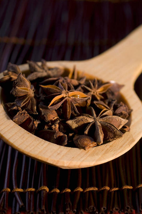 无人,竖图,俯视,室内,特写,白天,一把,一堆,许多,阴影,堆叠,堆积,反射,影子,勺子,调味,香料,佐料,调羹,汤匙,茴香,摄影,影棚,堆,八角,八角茴香,大茴香,八月珠,舶茴香,大料,作料,彩图,高角度拍摄,影棚拍摄,拍摄
