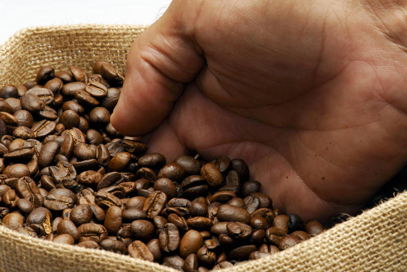 咖啡,西方人,手,一个人,横图,俯视,室内,特写,白天,白色背景,植物,豆,袋子,欧洲,欧洲人,仅一个男性,仅一个人,一堆,许多,握,阴影,堆叠,堆积,反射,影子,豆类,豆子,拿,麻袋,拿着,仅一个年轻男性,一个,容器,咖啡豆,手部,握着,摄影,影棚,单个,储藏,堆,单手,储存,豆科,咖啡因,男人,男性,年轻男性,白种人,半身,彩图,高角度拍摄,影棚拍摄,拍摄,贮存