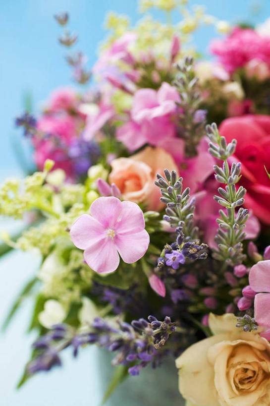 无人,竖图,俯视,室内,特写,白天,爱情,幸福,纯洁,热情,植物,蝴蝶兰,玫瑰,花瓶,叶子,阴影,蓝色背景,朦胧,模糊,盛开,反射,盆栽,影子,陶瓷,绿叶,玫瑰花,盆景,陶瓷制品,浪漫,美丽,花蕾,花,花瓣,花朵,鲜花,绿色,自然,瓶子,花苞,花蕊,温暖,温馨,嫩叶,恩爱,摄影,影棚,生长,成长,和睦,感动,尊敬,初恋,蝶兰,兰中皇后,天真,刺玫花,徘徊花,叶,叶片,彩图,高角度拍摄,影棚拍摄,拍摄,融洽