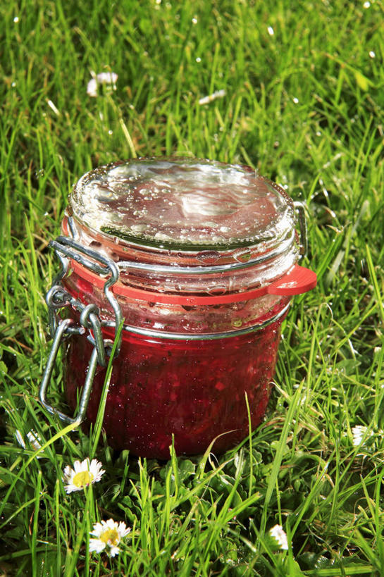 无人,竖图,俯视,室内,特写,白天,草地,草坪,植物,叶子,玻璃,阴影,盛开,光线,影子,绿叶,花蕾,玻璃制品,草,花,花瓣,花朵,鲜花,一个,绿色,阳光,玻璃瓶,瓶子,果酱,花苞,花蕊,嫩叶,单个,广口瓶,果子酱,叶,叶片,彩图,高角度拍摄