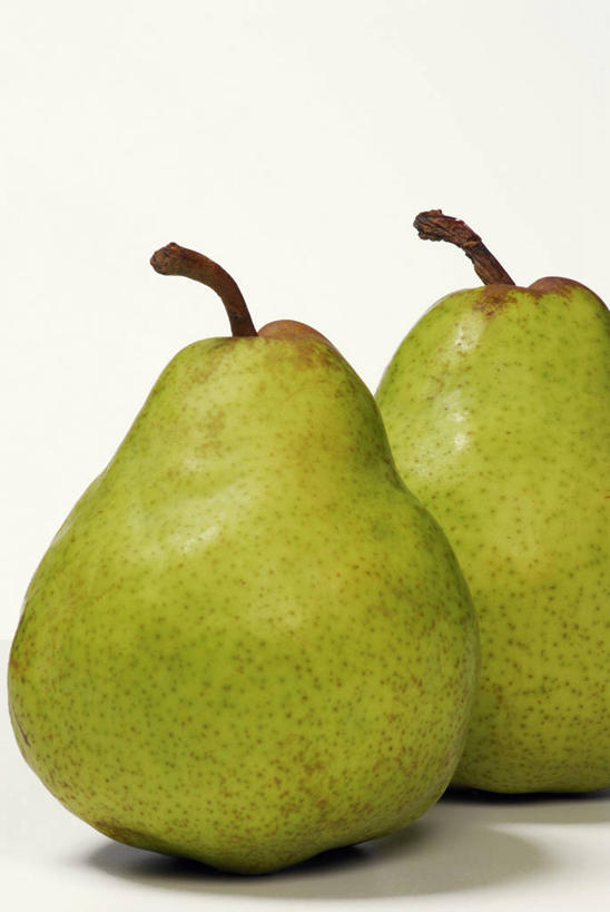 无人,竖图,室内,特写,白天,白色背景,正面,餐桌,桌子,梨,水果,阴影,新鲜,反射,影子,生食,食品,果实,食物,两个,绿色,香梨,摄影,有机食品,绿色食品,影棚,餐台,生梨,彩图,影棚拍摄,拍摄