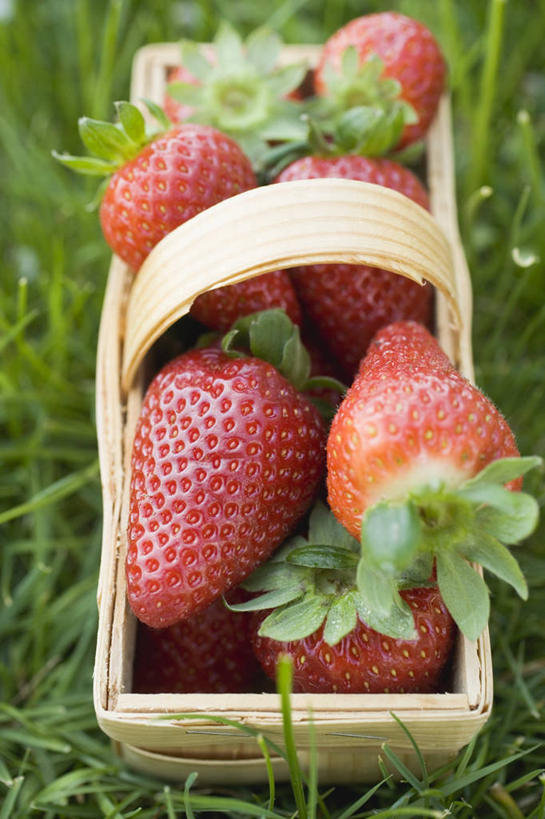 无人,交叉,竖图,俯视,室外,特写,白天,草地,草坪,植物,竹子,草莓,浆果,水果,一堆,堆叠,堆积,竹制,朦胧,模糊,新鲜,编织,篮子,生食,食品,果实,草,食物,一个,红色,绿色,竹篮,有机食品,绿色食品,单个,竹条,堆,交织,竹制品,穿插,洋莓,水果皇后,红莓,地莓,彩图,高角度拍摄