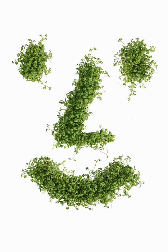 无人,笑,微笑,露齿笑,竖图,俯视,室内,特写,白天,白色背景,桌面,桌子,芹菜,蔬菜,阴影,新鲜,反射,木制,影子,食品,食物,木制品,摄影,有机食品,绿色食品,影棚,根芹菜,根洋芹,球根塘蒿,药芹,水芹,旱芹,彩图,高角度拍摄,影棚拍摄,拍摄