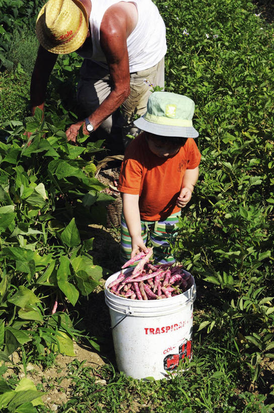 西方人,儿童,老年人,两个人,家庭,祖父,站,竖图,俯视,室外,白天,纯洁,植物,豆,蔬菜,帽子,叶子,欧洲,欧洲人,弯腰,握,阴影,服装,新鲜,光线,桶,影子,塑料,豆类,豆子,食品,绿叶,拿,拿着,注视,休闲装,食物,一个,小孩,衣服,阳光,容器,塑料制品,遮阳帽,观察,看,站着,休闲,温暖,温馨,一家人,休闲服,嫩叶,可爱,童年,童趣,握着,服饰,有机食品,绿色食品,爷爷,单个,观看,祖孙,储藏,塑料桶,和睦,察看,储存,关注,童真,烂漫,无邪,豆科,外公,外祖父,外孙,外孙子,弯身,天真,老年男性,男孩,男人,男性,白种人,孩子,孙子,叶,叶片,站立,半身,彩图,高角度拍摄,融洽,贮存,男生