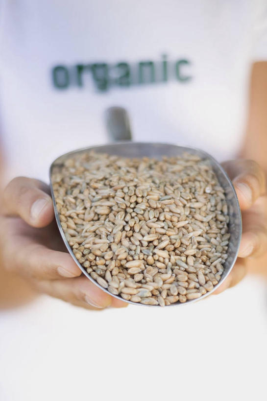 西方人,手,一个人,站,捧,竖图,室内,特写,白天,正面,农作物,欧洲,欧洲人,双手,仅一个年轻女性,仅一个女性,仅一个人,一堆,许多,堆叠,堆积,服装,朦胧,模糊,英文,标志,铲子,文字,字符,字母,谷物,很多,休闲装,标识,一个,衣服,站着,休闲,手部,休闲服,稻谷,稻子,服饰,单个,堆,英文字母,年轻女性,女人,女性,白种人,端,端着,捧着,手捧,站立,半身,彩图