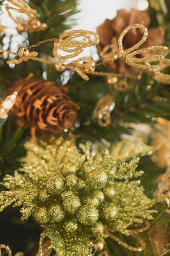 无人,竖图,俯视,室内,特写,白天,植物,圣诞节,节日,朦胧,模糊,庆祝,装饰,圣诞树,文化,装饰品,树,树木,绿色,自然,装饰物,庆典,生长,成长,纪念,华丽,修饰,点缀,饰物,衬托,美观,雅致,雅观,彩图,高角度拍摄