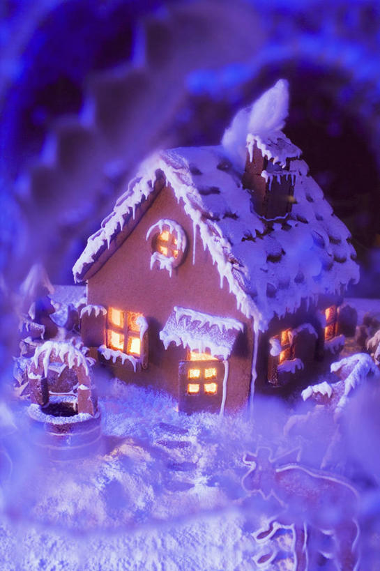 点心,无人,竖图,俯视,室内,特写,白天,餐桌,桌子,圣诞节,阴影,节日,朦胧,模糊,庆祝,装饰,反射,影子,食品,甜点,文化,装饰品,食物,糕点,装饰物,饼干,甜食,零食,庆典,餐台,纪念,华丽,修饰,点缀,饰物,姜饼,衬托,美观,雅致,雅观,姜饼屋,德式姜饼,彩图,高角度拍摄