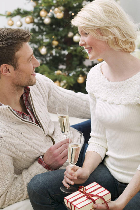 葡萄酒,西方人,中年人,两个人,家庭,夫妻,坐,笑,微笑,露齿笑,竖图,室内,白天,正面,爱情,奢侈,快乐,植物,杯子,礼盒,礼物,欧洲,圣诞节,欧洲人,握,服装,节日,庆祝,高脚杯,纸盒,圣诞树,浪漫,拿,拿着,注视,休闲装,文化,玻璃制品,盒子,酒,树,树木,饮料,衣服,绿色,自然,包装盒,酒杯,礼品盒,香槟,观察,看,庆典,休闲,温暖,温馨,一家人,休闲服,恩爱,诱惑,握着,恋人,服饰,礼品,生长,成长,观看,纪念,和睦,察看,关注,香槟杯,气泡酒,起泡酒,汽酒,男人,男性,女人,女性,中年男性,中年女性,白种人,夫妇,情侣,玻璃杯,坐着,半身,彩图,高兴,欢笑,伴侣,融洽