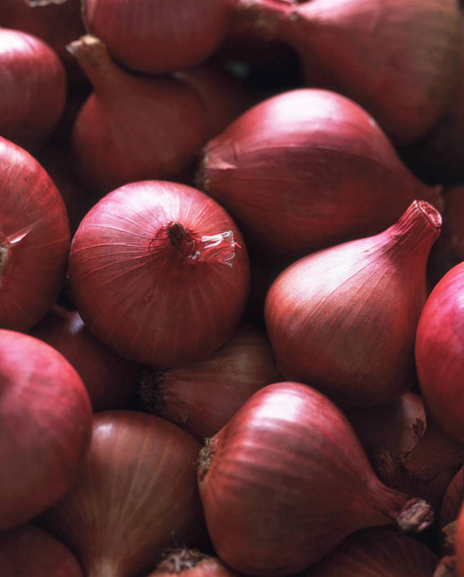 无人,竖图,俯视,室内,特写,白天,蔬菜,洋葱,一堆,许多,阴影,堆叠,堆积,新鲜,反射,影子,食品,食物,紫色,摄影,有机食品,绿色食品,影棚,堆,玉葱,圆葱,洋葱头,球葱,葱头,彩图,高角度拍摄,影棚拍摄,拍摄