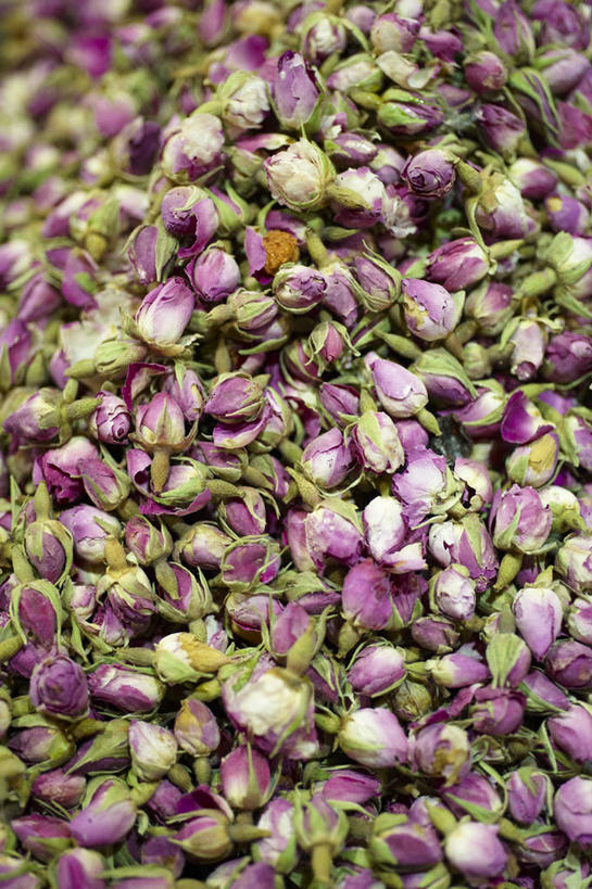 无人,竖图,俯视,室内,特写,白天,一堆,许多,阴影,堆叠,堆积,盛开,反射,影子,花蕾,花,花瓣,花朵,鲜花,紫色,花苞,花蕊,摄影,影棚,堆,彩图,高角度拍摄,影棚拍摄,拍摄