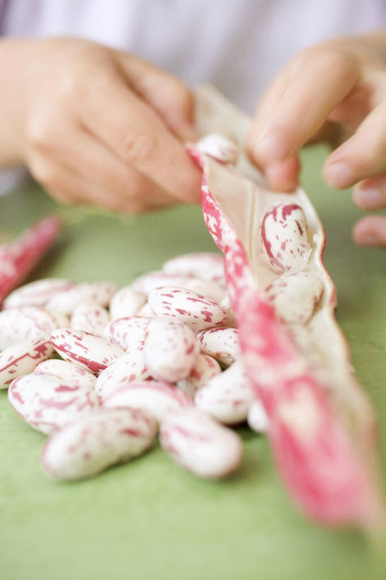 西方人,儿童,手,一个人,站,竖图,俯视,室内,特写,白天,纯洁,植物,豆,蔬菜,欧洲,欧洲人,双手,仅一个男性,仅一个人,一堆,许多,握,阴影,堆叠,堆积,服装,朦胧,模糊,新鲜,反射,影子,豆类,豆子,刀豆,食品,拿,拿着,休闲装,四季豆,食物,小孩,衣服,站着,仅一个小孩,休闲,手部,休闲服,可爱,童年,童趣,握着,服饰,有机食品,绿色食品,堆,红芸豆,芸豆,童真,烂漫,无邪,豆科,菜豆,二季豆,白肾豆,架豆,玉豆,去豆,天真,男孩,男人,男性,白种人,孩子,站立,半身,彩图,高角度拍摄,男生