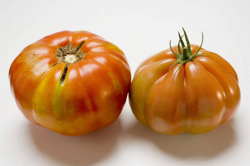 无人,横图,俯视,室内,特写,白天,白色背景,蔬菜,西红柿,叶子,阴影,新鲜,反射,影子,食品,绿叶,食物,两个,橙色,嫩叶,摄影,有机食品,绿色食品,影棚,叶,叶片,番茄,彩图,高角度拍摄,影棚拍摄,拍摄