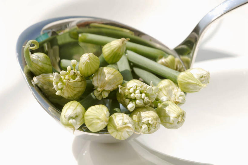 无人,横图,俯视,室内,特写,白天,白色背景,餐桌,桌子,蔬菜,蒜,一堆,许多,阴影,堆叠,堆积,新鲜,反射,滤器,影子,勺子,食品,蒜头,食物,一个,摄影,有机食品,绿色食品,影棚,单个,餐台,堆,漏勺,胡蒜,大蒜,彩图,高角度拍摄,影棚拍摄,拍摄