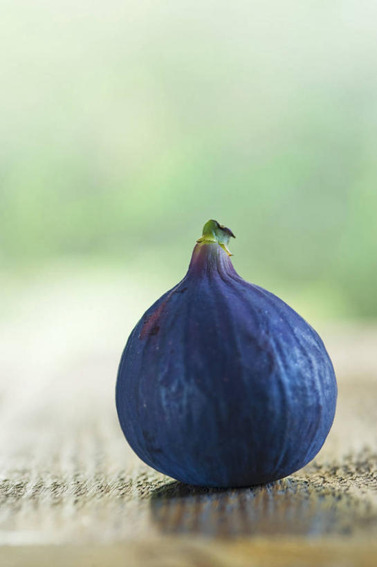 无人,竖图,室内,特写,白天,正面,餐桌,桌子,无花果,水果,阴影,朦胧,模糊,新鲜,反射,影子,生食,食品,果实,食物,一个,蓝色,有机食品,绿色食品,单个,餐台,映日果,树地瓜,奶浆果,蜜果,彩图