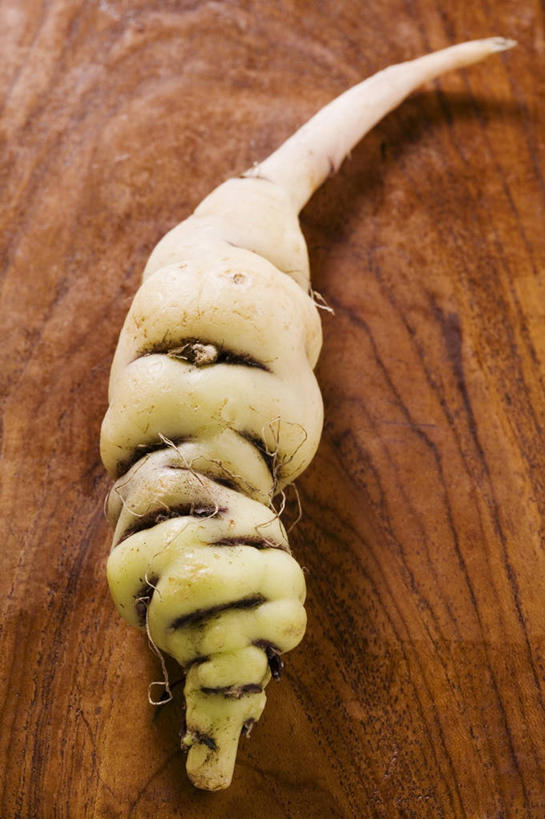 无人,竖图,俯视,室内,特写,白天,餐桌,桌子,蔬菜,阴影,新鲜,反射,木制,影子,食品,食物,一个,木制品,摄影,有机食品,绿色食品,影棚,单个,餐台,酸模,野菠菜,皱叶羊蹄,体贴,山菠菜,山大黄,彩图,高角度拍摄,影棚拍摄,拍摄