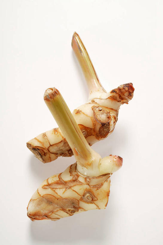 无人,竖图,俯视,室内,特写,白天,白色背景,植物,桌面,桌子,蔬菜,阴影,新鲜,反射,木制,影子,食品,草药,药草,中药,食物,两个,木制品,摄影,有机食品,绿色食品,影棚,药材,中草药,高良姜,中药材,本草,风姜,枫姜,高凉姜,良姜,蛮姜,小良姜,彩图,高角度拍摄,影棚拍摄,拍摄