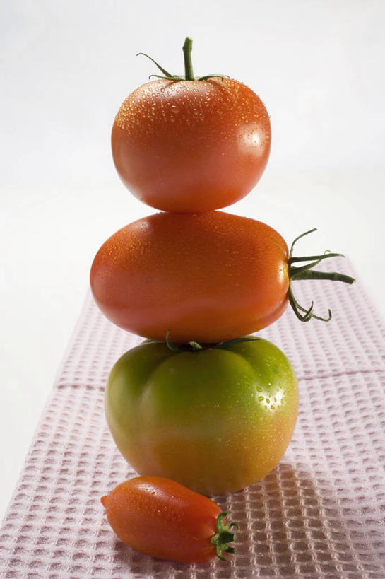 无人,竖图,俯视,室内,特写,白天,白色背景,餐桌,桌子,蔬菜,西红柿,小番茄,一排,阴影,新鲜,整齐,反射,影子,食品,食物,排列,红色,四个,摄影,有机食品,绿色食品,影棚,餐台,堆,队列,小西红柿,樱桃小番茄,珍珠小番茄,樱桃番茄,圣女果,番茄,彩图,高角度拍摄,影棚拍摄,拍摄