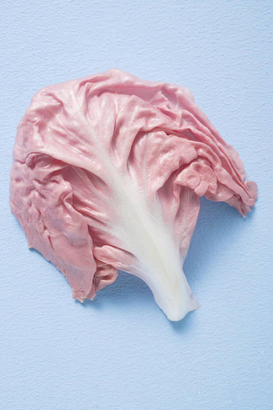 无人,竖图,俯视,室内,特写,白天,桌面,桌子,蔬菜,椰菜,卷心菜,一片,阴影,蓝色背景,新鲜,反射,木制,影子,紫甘蓝,食品,紫包菜,食物,木制品,赤甘蓝,甘蓝,摄影,有机食品,绿色食品,影棚,紫椰菜,紫圆白菜,结球甘蓝,红甘蓝,甘兰,包心菜,彩图,高角度拍摄,影棚拍摄,拍摄