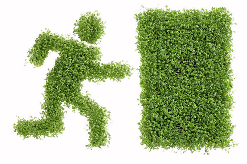 无人,跑,横图,俯视,室内,特写,白天,白色背景,芹菜,蔬菜,阴影,新鲜,反射,影子,食品,食物,摄影,有机食品,绿色食品,影棚,根芹菜,根洋芹,球根塘蒿,药芹,水芹,旱芹,跑步,彩图,高角度拍摄,影棚拍摄,拍摄,拟人