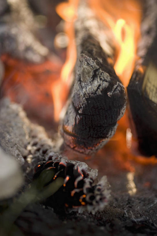 无人,竖图,俯视,室外,特写,白天,热情,火,许多,阴影,朦胧,模糊,反射,火焰,木材,影子,燃烧,木柴,木料,露营,野营,宿营,彩图,高角度拍摄