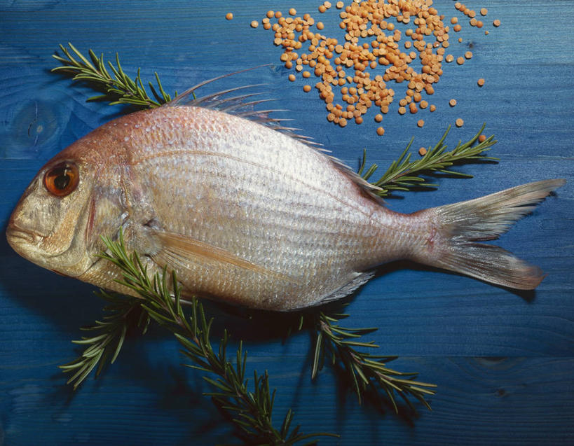 海鲜,无人,横图,俯视,室内,特写,白天,餐桌,桌子,叶子,一条,阴影,反射,鱼,影子,调味,香料,佐料,绿叶,鲷鱼,水产,鱼类,海洋生物,嫩叶,餐台,鲷,加吉鱼,铜盆鱼,迷迭香,配料,水生动物,海产品,水生物,海底动物,海洋之露,作料,班加吉,加真鲷,叶,叶片,彩图,高角度拍摄,全身