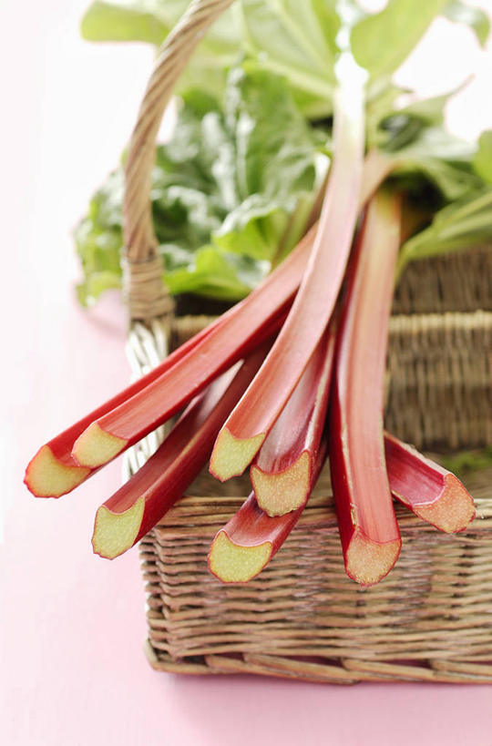 无人,交叉,竖图,俯视,室内,特写,白天,植物,餐桌,桌子,竹子,叶子,一堆,许多,阴影,堆叠,堆积,粉色背景,竹制,编织,反射,篮子,影子,绿叶,草药,药草,很多,中药,一个,红色,绿色,竹篮,嫩叶,摄影,影棚,单个,餐台,竹条,堆,交织,竹制品,药材,中草药,大黄,中药材,本草,穿插,川军,蜀大黄,熟大黄,叶,叶片,彩图,高角度拍摄,影棚拍摄,拍摄