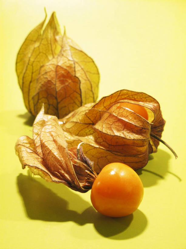 无人,竖图,俯视,室内,特写,白天,餐桌,桌子,浆果,水果,阴影,黄色背景,新鲜,反射,影子,灯笼果,生食,食品,果实,食物,三个,橙色,摄影,有机食品,绿色食品,影棚,餐台,秘鲁苦蘵,小果酸浆,醋栗,彩图,高角度拍摄,影棚拍摄,拍摄