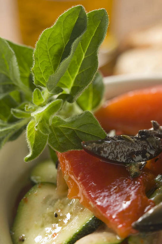 无人,竖图,俯视,室内,特写,白天,餐桌,桌子,黄瓜,蔬菜,叶子,阴影,朦胧,模糊,新鲜,装饰,反射,影子,陶瓷,肉,食品,绿叶,陶瓷制品,猪肉,肉类,食物,一个,绿色,容器,碗,嫩叶,有机食品,绿色食品,单个,餐台,储藏,华丽,修饰,点缀,配菜,储存,肉食,豚肉,衬托,美观,雅致,雅观,叶,叶片,青瓜,胡瓜,彩图,高角度拍摄,贮存