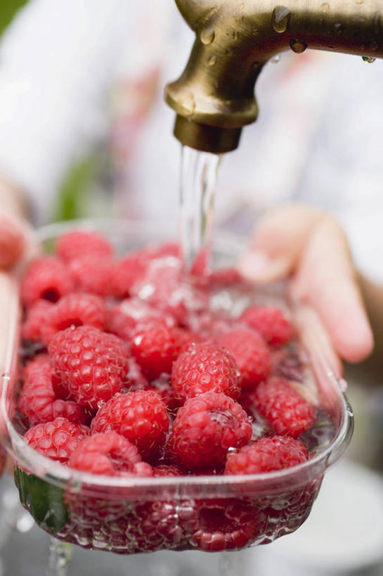 西方人,手,一个人,竖图,俯视,室内,特写,白天,水,水果,欧洲,欧洲人,双手,仅一个年轻女性,仅一个女性,仅一个人,一堆,握,堆叠,堆积,飞溅,服装,朦胧,模糊,新鲜,溅,水龙头,液体,塑料,水滴,生食,食品,果实,拿,拿着,开关,盒子,水珠,食物,一个,衣服,红色,容器,塑料制品,打开,手部,握着,服饰,有机食品,绿色食品,单个,储藏,堆,阀门,开启,衣着,储存,穿着,喷洒,山莓,树莓,三月泡,四月泡,山抛子,刺葫芦,悬钩子,馒头菠,高脚菠,龙船泡,泡儿刺,水咀,衣饰,年轻女性,女人,女性,白种人,半身,彩图,高角度拍摄,贮存