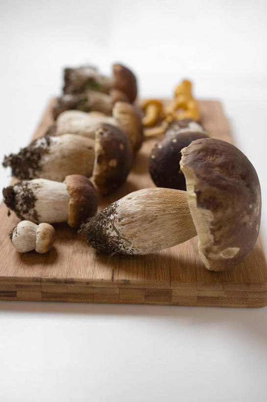 无人,竖图,俯视,室内,特写,白天,白色背景,蔬菜,餐具,一堆,许多,阴影,堆叠,堆积,新鲜,反射,碟子,盘,影子,菌菇,蘑菇,食品,菌类,食物,盘子,碟,食用菌,摄影,有机食品,绿色食品,影棚,堆,牛肝菌,鸡油菌,美味牛肝菌,杏黄菌,杏菌,大脚菇,彩图,高角度拍摄,影棚拍摄,拍摄