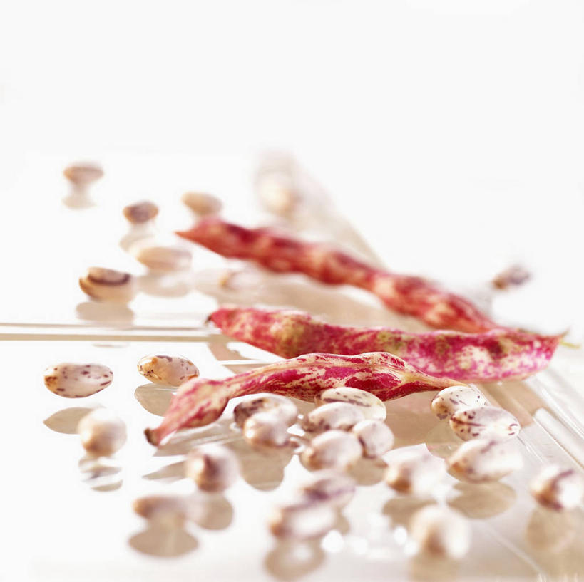 无人,横图,俯视,室内,特写,白天,白色背景,植物,豆,蔬菜,许多,阴影,朦胧,模糊,新鲜,反射,影子,豆类,豆子,刀豆,食品,四季豆,食物,摄影,有机食品,绿色食品,影棚,红芸豆,芸豆,豆科,菜豆,二季豆,白肾豆,架豆,玉豆,去豆,彩图,高角度拍摄,影棚拍摄,拍摄