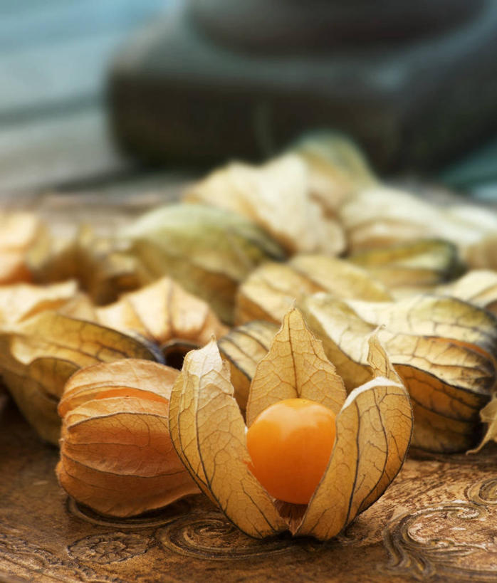 无人,竖图,俯视,室内,特写,白天,桌面,桌子,浆果,水果,一堆,许多,阴影,堆叠,堆积,朦胧,模糊,新鲜,反射,木制,影子,灯笼果,生食,食品,果实,食物,木制品,有机食品,绿色食品,堆,秘鲁苦蘵,小果酸浆,醋栗,彩图,高角度拍摄