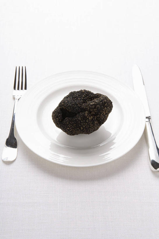 无人,竖图,俯视,室内,特写,白天,白色背景,餐桌,桌子,餐具,一块,阴影,反射,叉子,刀叉,刀子,碟子,盘,影子,菌菇,松露,菌类,一个,白色,盘子,碟,食用菌,摄影,影棚,单个,餐台,餐刀,餐叉,黑松露,进餐用具,彩图,高角度拍摄,影棚拍摄,拍摄