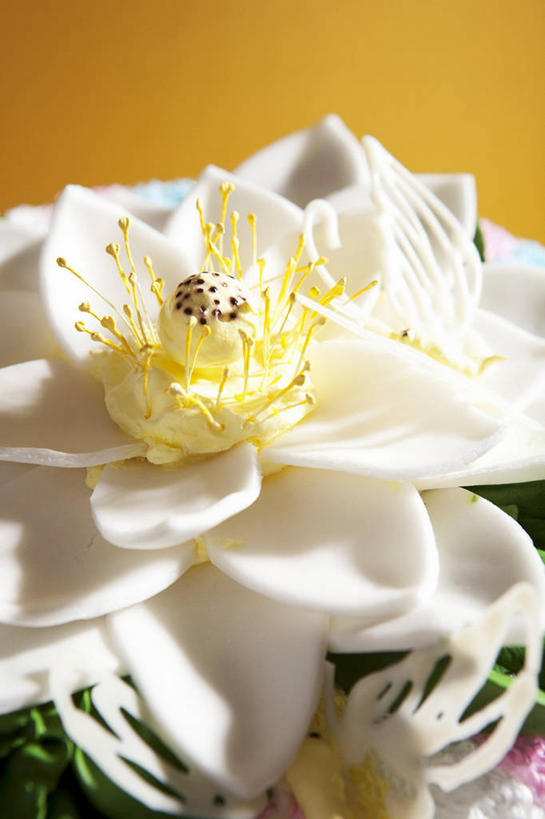 点心,无人,竖图,俯视,室内,特写,白天,阴影,黄色背景,装饰,盛开,反射,影子,食品,婚礼蛋糕,花蕾,花,花瓣,花朵,鲜花,食物,糕点,一朵,花苞,花蕊,摄影,影棚,华丽,修饰,点缀,衬托,美观,雅致,雅观,彩图,高角度拍摄,影棚拍摄,拍摄,蛋糕,结婚蛋糕