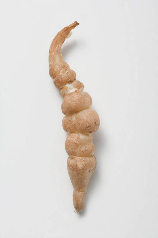 无人,竖图,俯视,室内,特写,白天,白色背景,餐桌,桌子,阴影,反射,影子,一个,清热,摄影,影棚,单个,餐台,解毒,除湿,宝塔菜,祛风,彩图,高角度拍摄,影棚拍摄,拍摄,草石蚕,土虫草