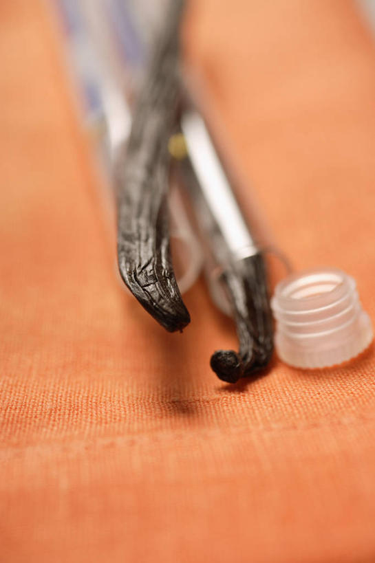 无人,竖图,俯视,室内,特写,白天,植物,桌面,桌子,橙色背景,阴影,朦胧,模糊,反射,木制,影子,草药,药草,中药,木制品,清热,摄影,影棚,药材,中草药,香草兰,中药材,本草,解毒,婆绒花,山薄荷,石母草,彩图,高角度拍摄,影棚拍摄,拍摄