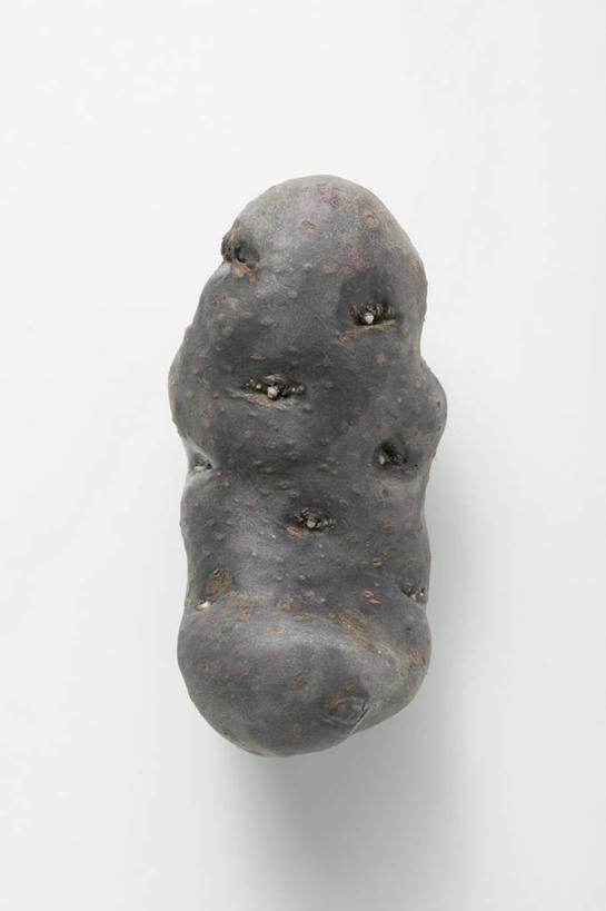 无人,竖图,俯视,室内,特写,白天,白色背景,桌面,桌子,蔬菜,土豆,阴影,新鲜,反射,木制,影子,食品,食物,一个,黑色,木制品,摄影,有机食品,绿色食品,影棚,单个,芋艿,洋芋,山药蛋,马铃薯,彩图,高角度拍摄,影棚拍摄,拍摄