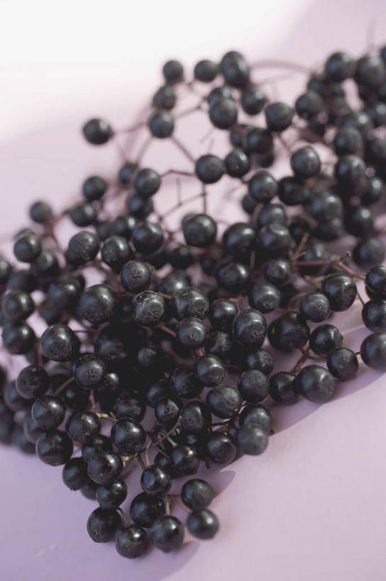 无人,竖图,俯视,室内,特写,白天,植物,桌面,桌子,一堆,许多,阴影,堆叠,堆积,反射,木制,影子,草药,药草,很多,中药,黑色,木制品,堆,药材,中草药,接骨木,中药材,本草,草珊瑚,接骨金粟兰,九节茶,九节风,九节花,肿节风,竹节茶,彩图,高角度拍摄