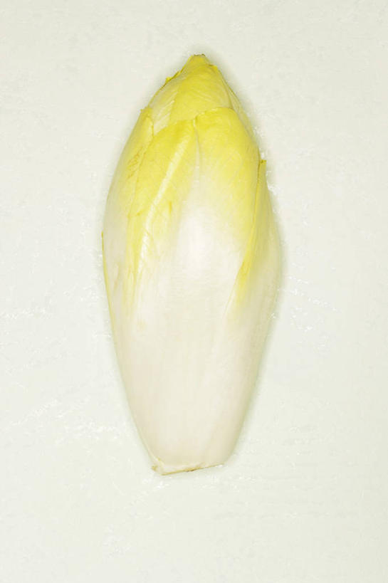 无人,竖图,俯视,室内,特写,白天,白色背景,蔬菜,阴影,新鲜,反射,影子,菊苣,食品,药草,食物,一个,摄影,有机食品,绿色食品,影棚,单个,药材,彩图,高角度拍摄,影棚拍摄,拍摄