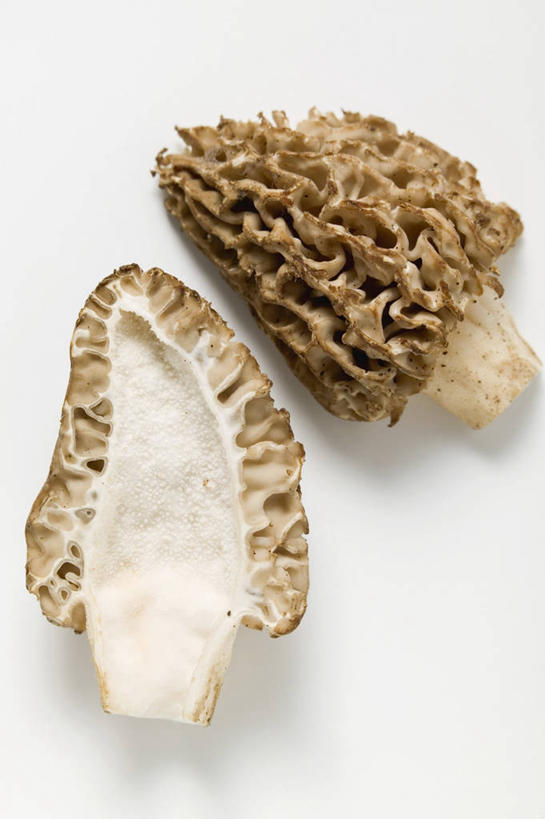 无人,竖图,俯视,室内,特写,白天,白色背景,桌面,桌子,蔬菜,两片,切开,阴影,新鲜,反射,木制,影子,菌菇,食品,菌类,食物,木制品,切,食用菌,摄影,有机食品,绿色食品,影棚,剖面,切面,羊肚菇,羊肚菜,羊肚菌,羊蘑,美味羊肚菌,彩图,高角度拍摄,影棚拍摄,拍摄