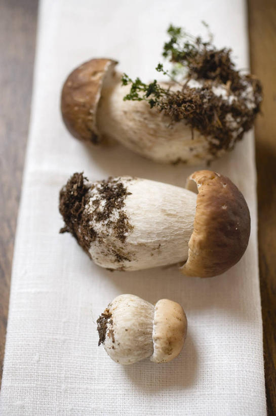 无人,竖图,俯视,室内,特写,白天,桌面,桌子,蔬菜,餐具,阴影,新鲜,反射,木制,碟子,盘,影子,菌菇,蘑菇,食品,菌类,中药,食物,盘子,木制品,碟,食用菌,摄影,有机食品,绿色食品,影棚,药材,牛肝菌,中药材,美味牛肝菌,大脚菇,彩图,高角度拍摄,影棚拍摄,拍摄